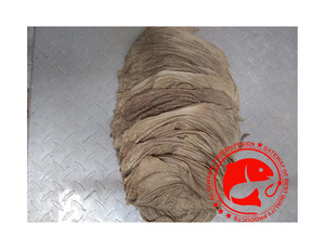 OMASUM de Res y Búfalo Seco Salado HALAL, Calidad Premium, Nutritivo, Alto en Proteínas, Carne Limpia, 12 Meses de Vida Útil, Para Amantes de la Carne - Product Image 1