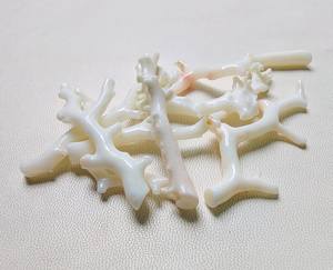 Palo de coral japonés genuino, 7 piezas, palo pulido de coral blanco, piedra preciosa suelta de coral japonés - Product Image 2