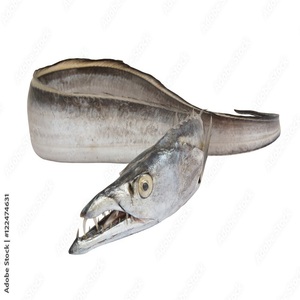 BQF Bán Cá Ruy Băng Tròn Tươi Đông Lạnh - Product Image 3