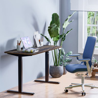 Cadre de Bureau Intelligent Électrique Réglable en Hauteur Assis-Debout, Table de Bureau à Moteur Unique, Hauteur Ajustable