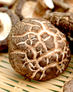 DRIED SHIITAKE <b>MUSHROOM</b> PREMIUM QUALITY FOR EXPORT - Product Image 6