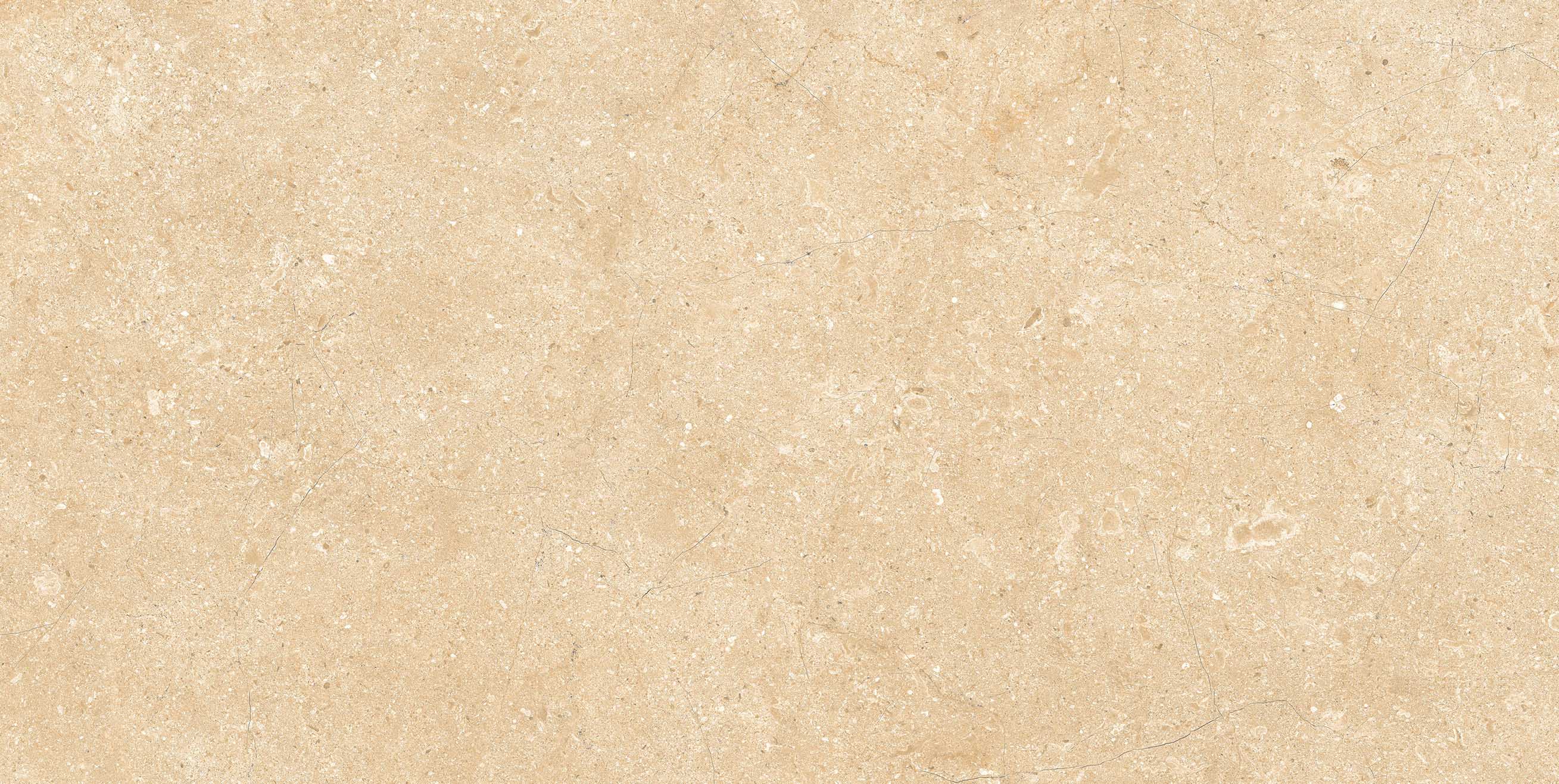 สีเขียวอ่อน