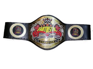 Ceintures de championnat personnalisées ! Ceinture de lutte miniature fantastique et folle 2025 - Product Image 5