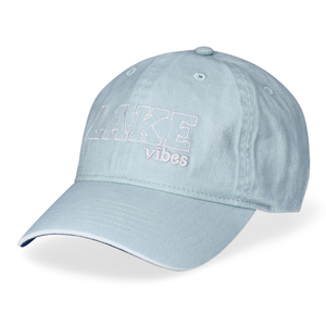 Gorras de béisbol clásicas de 5 paneles 100% algodón bordado 3D verano deporte camionero sombreros con leopardo Oxford Metal de moda - Product Image 1