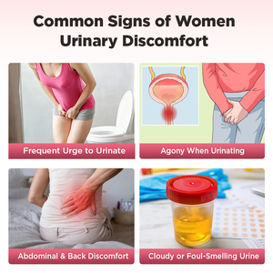 Té de Arándano Personalizado de Chinaherbs para <span class=keywords><strong>el</strong></span> Tracto Urinario, para un <span class=keywords><strong>Flujo</strong></span> Urinario Saludable en Mujeres, Suplemento Herbal con Sabor, 16*3.5g/caja - Product Image 4