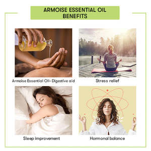 Aceite Esencial de Artemisia 100% Puro, Hidratante, Aclarante, Reafirmante y Nutritivo para la Piel, Hecho con Resina de Artemisia y Hojas Herbales - Product Image 3