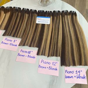 Venta al por mayor de extensiones de cabello de trama recta de hueso Extensiones de cabello humano vietnamita Doble dibujado de hueso recto Color de piano - Product Image 6