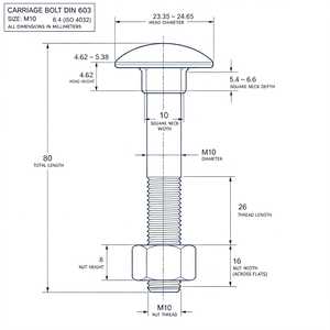 Perno de Carrocería DIN 603 Directo de Fábrica, Cabeza Redonda, Cuello Cuadrado, Zincado, Grado 4.8, Métrico M6-M20 - Product Image 3