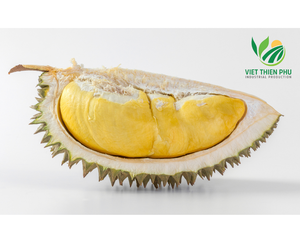 Durian congelado premium de la conservación del agua de proceso IQF de Monthong y de la marca del año 2000 - Product Image 3