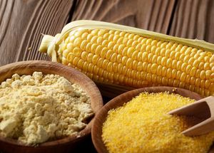 FÉNICA DE MAÍZ EN POLVO DE ALTA CALIDAD, GRADO ALIMENTICIO, PRECIO DE FÁBRICA - Product Image 3