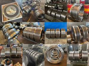 قطع غيار الحيوانات ، قطع غيار حلقة يموت والأسطوانة - Product Image 6