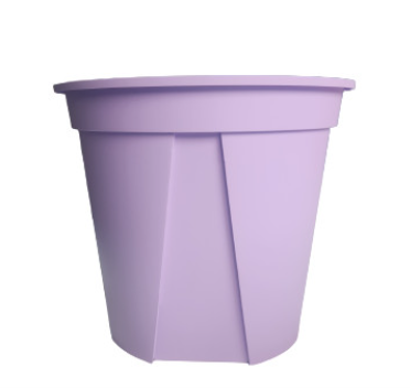 สีม่วงอ่อน