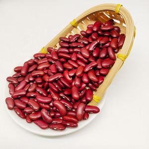 High Quality Red Kidney <b>Beans</b> Cleaned and Sorted for Export - Product Image 1