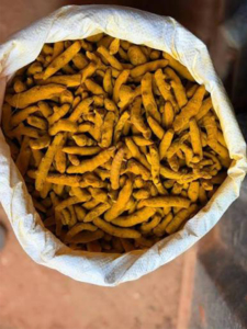 Raíces de Cúrcuma Secas Enteras, 100% Naturales, Grado Alimenticio y Puro - Product Image 4