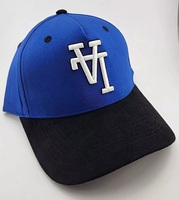 Gorra de Béisbol Personalizada para Papá, Unisex, de Calidad de Marca, 6 Paneles, Logotipo Bordado en 3D, Estilo Urbano, Deportivo, Común, 100% Lona de Algodón