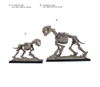 Moule de fossile de dinosaure, statue en résine, décoration d'intérieur, sculpture en résine sculptée, décoration d'intérieur, cadeau 3D et muséal