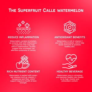 VINUT WatermelonJuice Drink avec pulpe 490ml, sans sucre, marque privée, OEM/ODM, prix d'usine, échantillon gratuit-Halal, BRCGS - Product Image 3