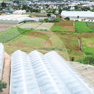 <b>Greenhouse</b> Film For Vegetable And Fruit Cultivation Providing Excellent Heat Moisture Retention And Stable <b>Plant</b> Climate - Product Image 2