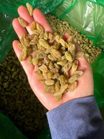 Raisin sec ou raisin séché Vietnam Fruit naturel sucré Raisin bio ou raisin séché pour les supermarchés Acheteurs au détail et exportateurs en vrac