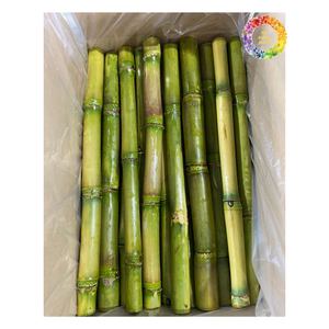 น้ำอ้อยแช่แข็งสีเขียวและสีม่วงพร้อมบรรจุภัณฑ์แบบกำหนดเองสำหรับน้ำผลไม้ในเวียดนามสำหรับฤดูกาลใหม่ - Product Image 2