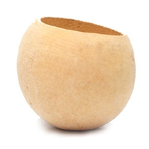 Campana de copa natural seca en Palos, artículo decorativo navideño para el hogar con diferentes tamaños y colores - Product Image 3