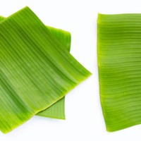 100% feuilles de bananier fraîches naturelles et écologiques à prix économique pour l'emballage des aliments pour l'exportation agricole