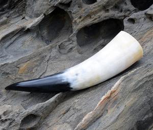 Cuerno para beber vikingo personalizable de alta demanda personalizado para regalos y eventos especiales Cuerno para beber vikingo a la venta - Product Image 1