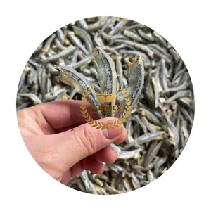 Dari grosir pemasok Takimex ikan teri kering untuk ekspor pabrik produksi profesional ikan kecil kering jumlah besar