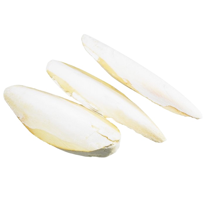 Кости для морской рыбы для продажи, поставщики морепродуктов