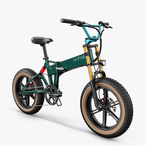 Bicicleta Eléctrica de Montaña F i i d o s M1 Pro - Product Image 2