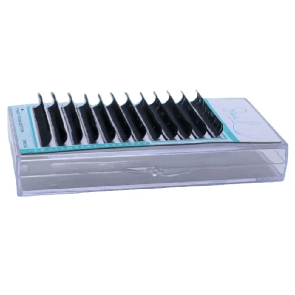 1500 Fans Eyelash Boxes Super High Quality Cheap Precut Segment Lashes Individual Mink Eyelashes Set Silk Black Custom