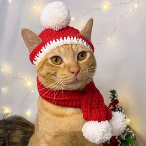 Conjunto de Gorro y Bufanda de Ganchillo para Gato, Estilo Navideño, para Fiestas, Disfraz para Mascotas - Product Image 1