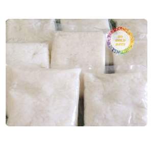 Nata de Coco Cruda al por Mayor de Vietnam, Apta para Bebidas, Postres y Uso Industrial - Product Image 4