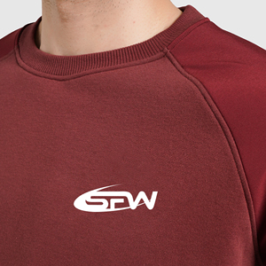 Sweat-shirt d'hiver unisexe 100% coton solide Vente en gros Épaule tombante Poids lourd Surdimensionné Streetwear Zipper Design - Product Image 5