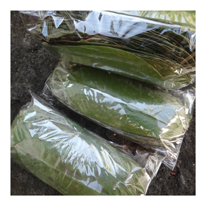 Feuille de corossol vert séchée de bonne qualité-Feuilles de fruits secs Graviola pour boisson au thé en gros avec livraison rapide - Product Image 3