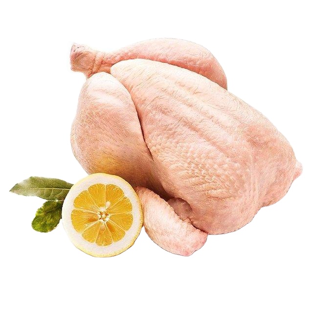 High Quality / Top Brazilian /Best Quality Healthy And Natural Whole Chicken Halal Frozen Whole Chicken From Turkey Poultry Meat