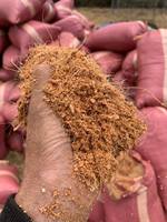 Granulés de tourbe de coco biologique comprimés pour les jardins domestiques et les pépinières commerciales par 99 Gold Data