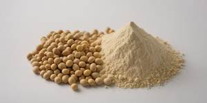 Soja jaune biologique durable, séché, non-OGM, en vrac, récolte naturelle pour les acheteurs mondiaux - Product Image 3