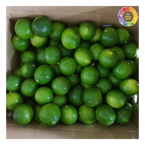 Lima fresca para cócteles, Lima natural sin semillas perfecta para bebidas, guarnición y recetas sabrosas, limón fresco, Lima fresca - Product Image 4