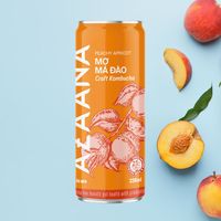 Kombucha Perzik Thee Concentraat Gemengd Vruchtensap Met Natuurlijke Zoetzure Smaak