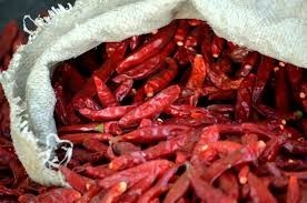 Dry Red <b>Chili</b> Hot <b>Chili</b> Best Selling in Vietnam in Bulk Competitive Price // Ms. Beatrix - Product Image 2