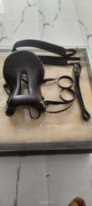 Silla de montar profesional sintética estilo inglés para entrenamiento, con doble banda abdominal y estructura de madera/plástico, para resistencia. - Product Image 3