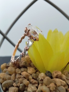 Oval Shape Three Stone Fine Jewelry 14K Solid Yellow <b>Rose</b> Gold Vvs Lab Grown Diamond Engagement Ring 2.0 CT White Wedding Ring - Product Image 5