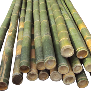 เสาไม้ไผ่ธรรมชาติเสาไม้ไผ่ขนาดใหญ่เสาไม้ไผ่ผลิตในเวียดนาม - Product Image 1