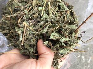 ใบหญ้าหวานที่คัดสรรมาอย่างดีมีรสชาตินุ่มนวลมีระดับความสะอาดสูงเหมาะสำหรับการแปรรูปที่แตกต่างกัน - Product Image 2