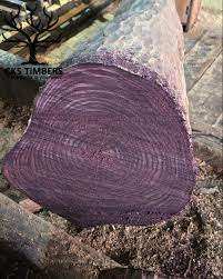 Wholesale Black Rosewood <b>Logs</b> From Europe for Sale - Product Image 2