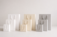Sac de shopping écologique recyclable avec logo personnalisé, sac à main en papier kraft de luxe, emballage de vente au détail pour boutique avec poignées en ruban