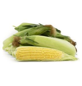 Maïs doux à grains jaunes extra-larges de qualité supérieure, sans pesticides, pour la mise en conserve et le traitement, qualité d'exportation - Product Image 3