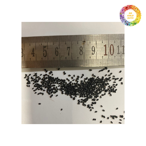 Graines de chia pour l'exportation du Vietnam sac personnalisé ou option d'emballage en vrac approvisionnement en gros disponible - Product Image 3