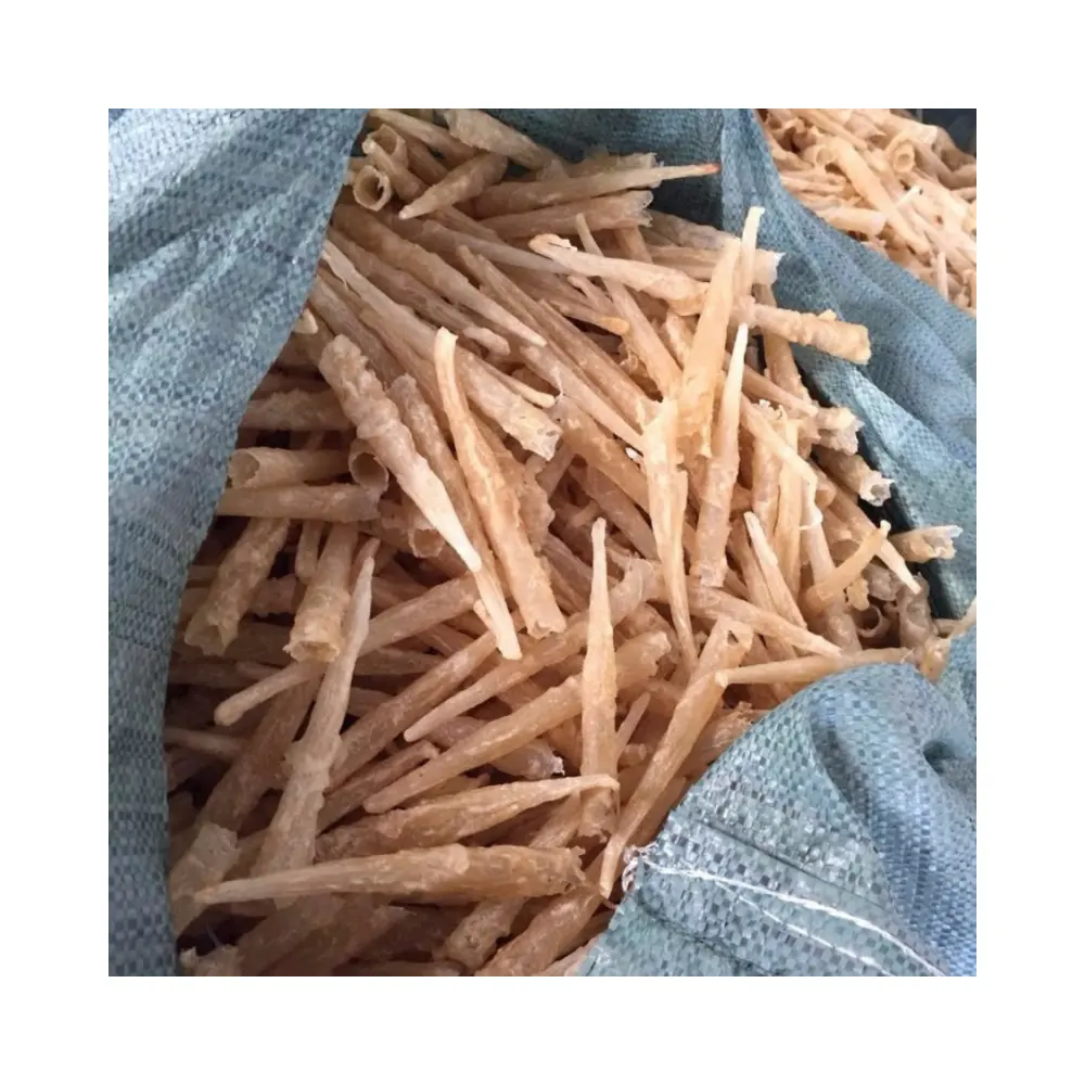 100% Natural Dried Top Quality Popa Fish Maw Jew Sea fish Food with Competitive Price Rich Taste